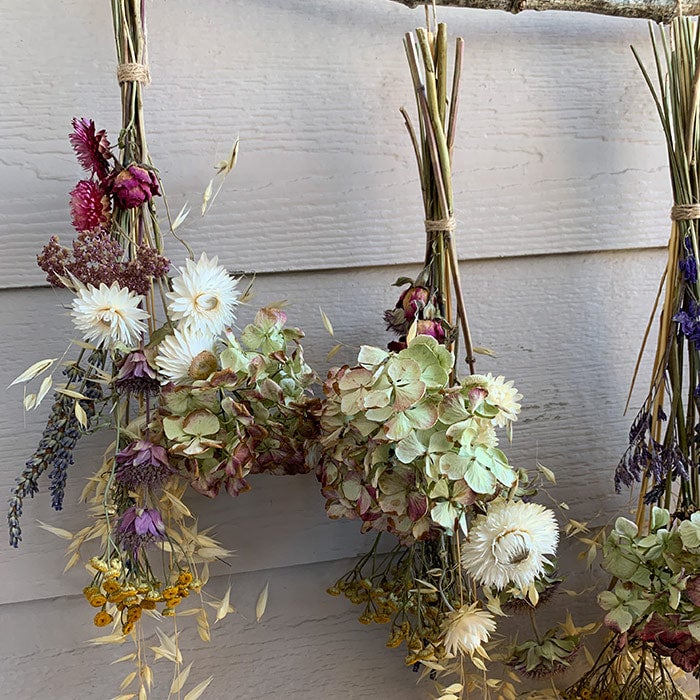 Dried Flower Decor And Pressed Flowers Of Botanical